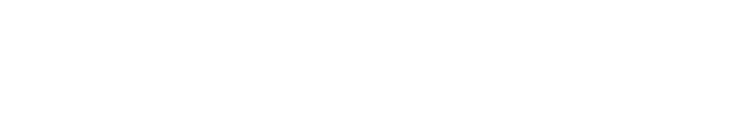 LOGO_white-robert-bird-group-500px_sep26
