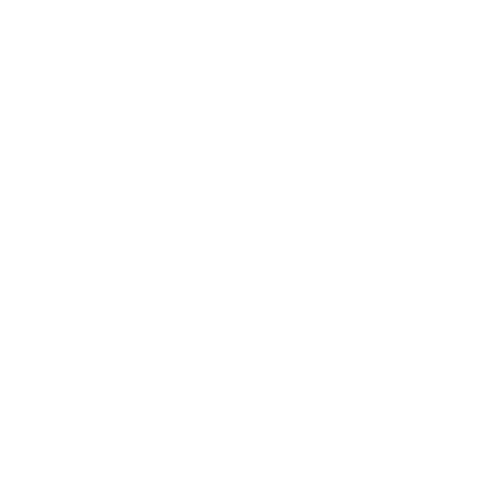 LOGO_rpa_500_jun26
