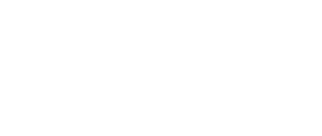 LOGO_white-dyse-500px_sep26