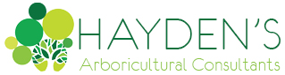 Haydens-logo-319x85